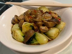 Xo酱草茹奶白菜-詠春园