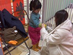 -三花喵·撸猫购宠·宠物生活馆(虹桥南丰城店)