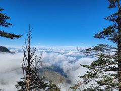 -瓦屋山景区