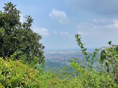 -杭州半山国家森林公园