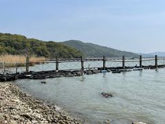 -宝界山林公园