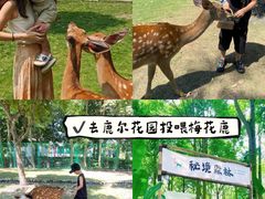 -老鼎万春卤菜(五代传承创始老店)