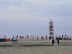 -东郊椰林
