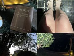 -七彩云南古滇温泉山庄