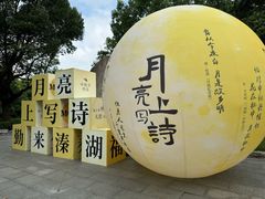 -溱湖国家湿地公园