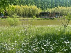 -黄海国家森林公园