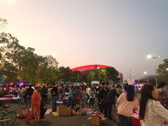 -南京奥林匹克体育中心-体育馆