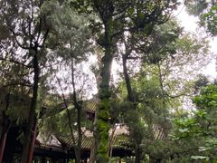 -成都武侯祠博物馆