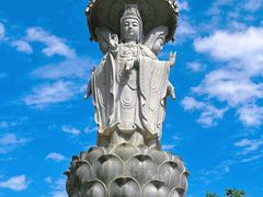 -仙岳公园