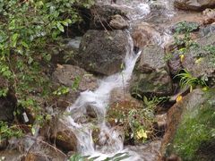 -大岭沟猕猴桃谷风景区