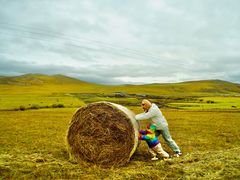 -乌兰布统景区-白桦林