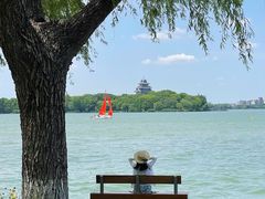 -金鸡湖景区