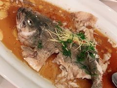 -饭怕鱼·黄焖鲟龙鱼(湖大店)