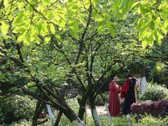 -重庆平顶山公园
