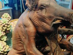 -怀化名堂(正清路店)