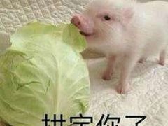 -海底捞火锅(龙湖北京大兴天街店)