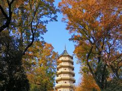 -灵谷景区