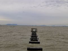 -贡湖湾湿地公园