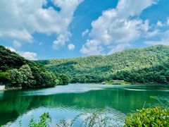 -桃花岭景区