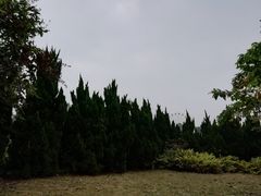 -南沙蒲洲花园
