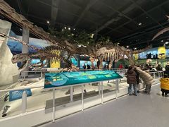 -国家自然博物馆