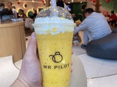 -飞行喵MR PILOT|猫舍·猫咖(静安大融城店)
