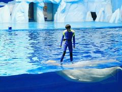 -福州罗源湾海洋世界旅游区