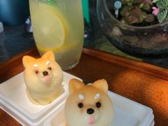 -柴犬高等学院·狗咖·柴犬售卖·宠物训练