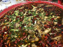 -东吴霸王兔(松青路店)