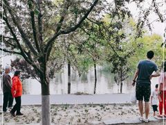 -永定河休闲森林公园