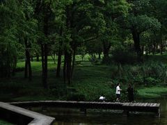 -杭州植物园