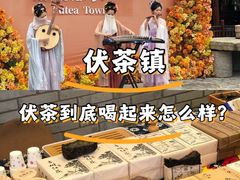 -茯茶镇