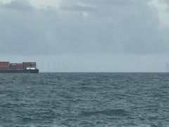 -广东惠东海龟国家级自然保护区