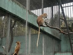 -宁波野生动物园