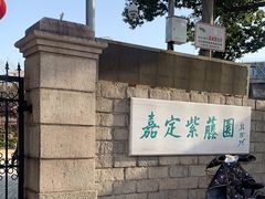 -嘉定紫藤园