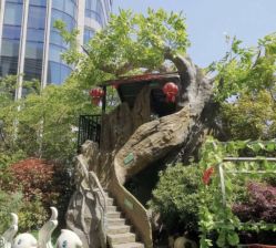 -可可天空农场(中大店)