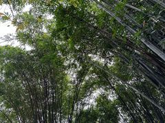 -成都杜甫草堂博物馆
