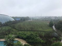 -洪湖悦兮半岛国际温泉度假村