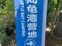 -广东惠东海龟国家级自然保护区