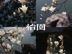 -留园