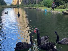 -大理苍山石门关旅游度假区