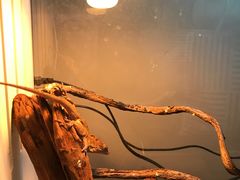 景观位-打趸BTC·Breaktime cafe(北京路店)