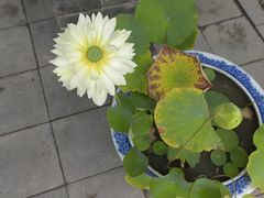 -西安市广仁寺