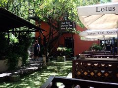 -Local泰莲庭(虹鳟鱼店)