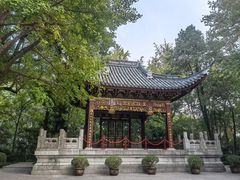 -汇龙潭