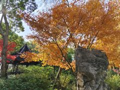 -上海醉白池公园