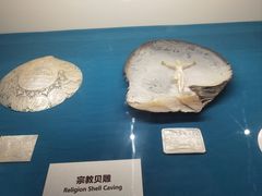 -青岛贝壳博物馆