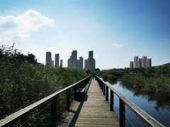 -前关湿地公园