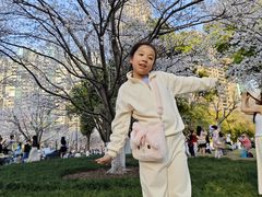 -西北湖绿化广场