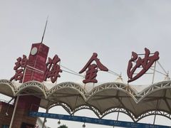-碧海金沙